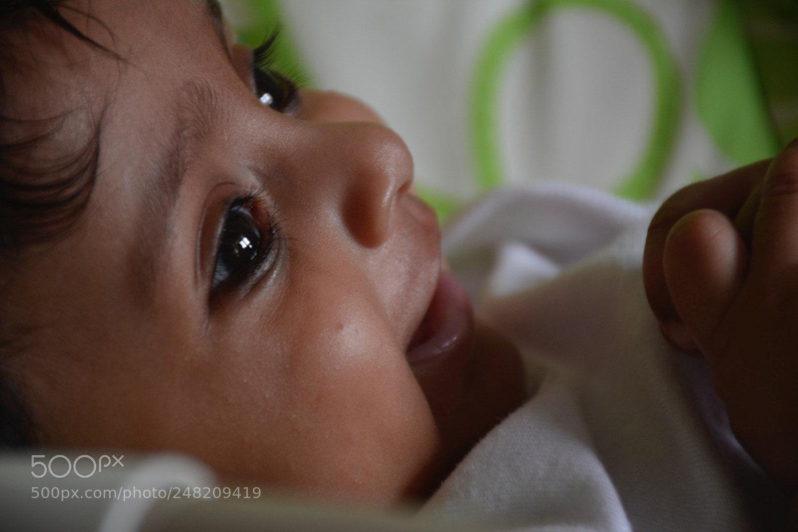 Nikon D7100 sample photo. Gubbibs photography