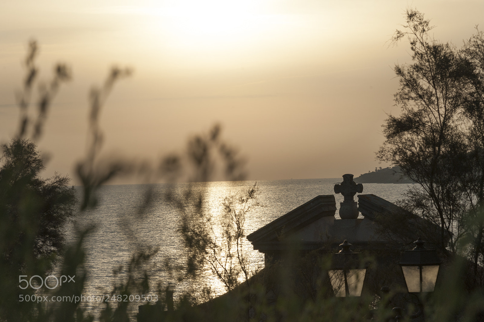 Nikon D700 sample photo. Untitled photography