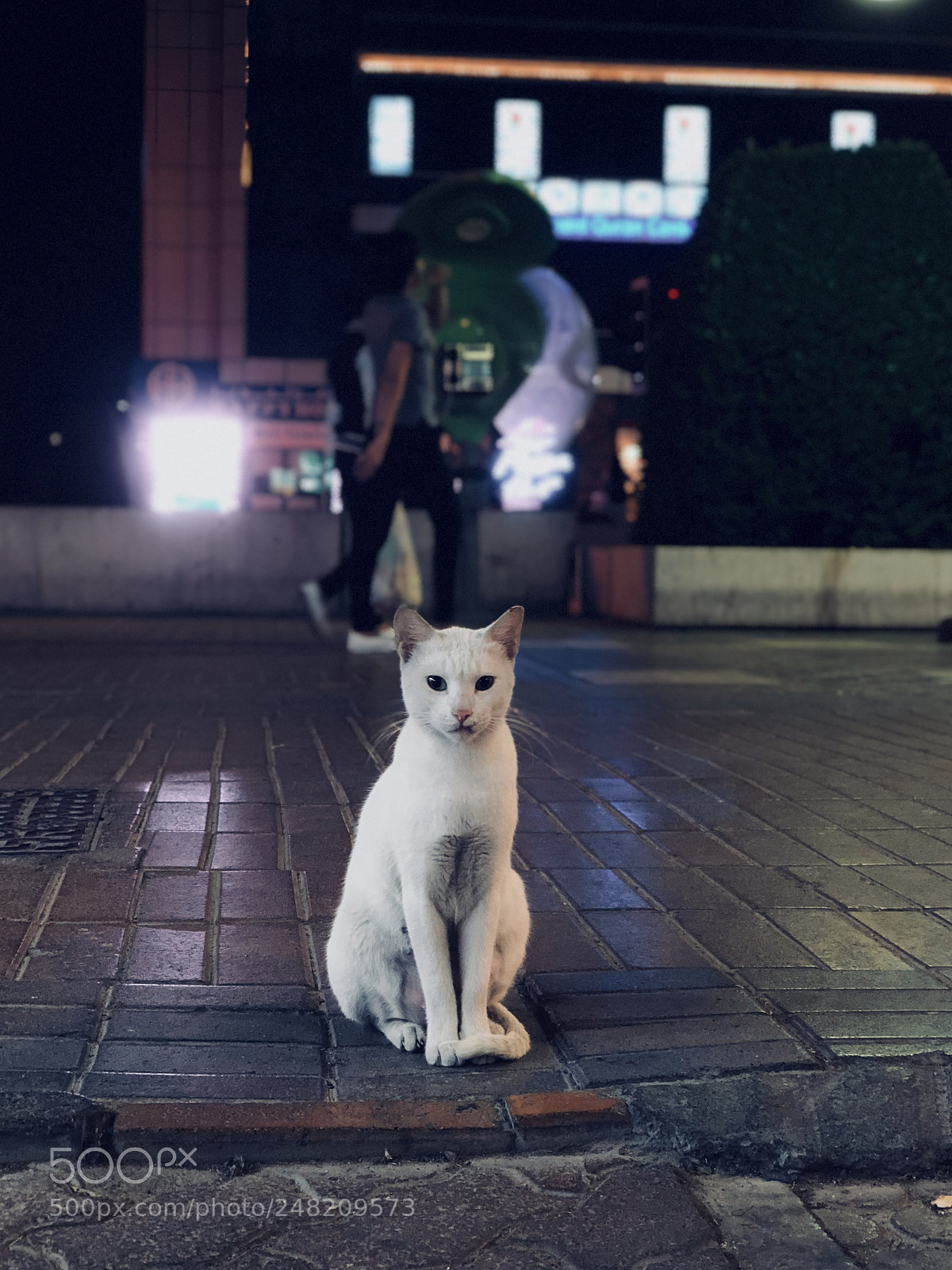 Apple iPhone X sample photo. #dubaistreets photography
