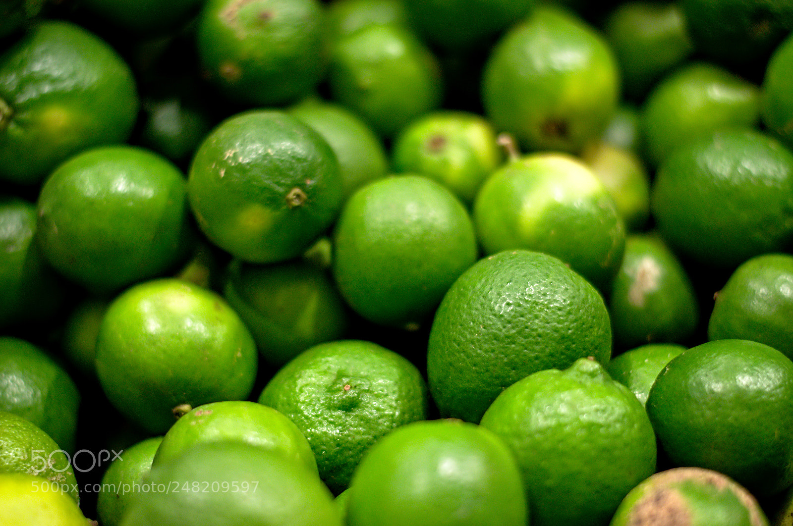 Nikon D3100 sample photo. Lime photography