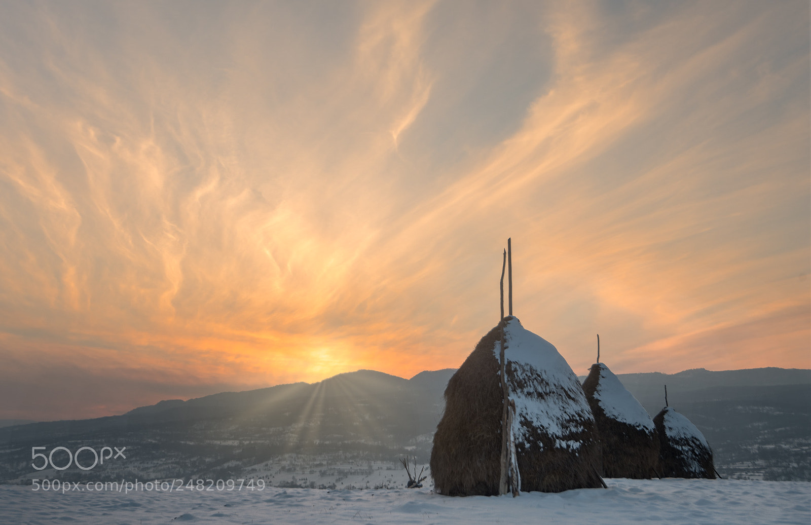 Nikon D850 sample photo. March snow photography