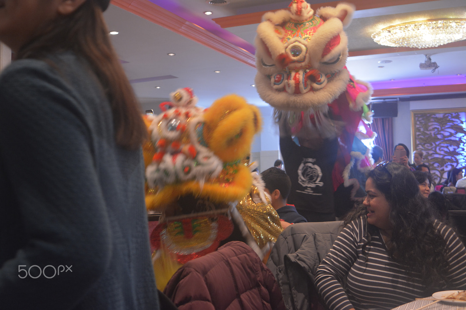 Nikon D7100 sample photo. Dragon costume performance in chicago chinatown photography