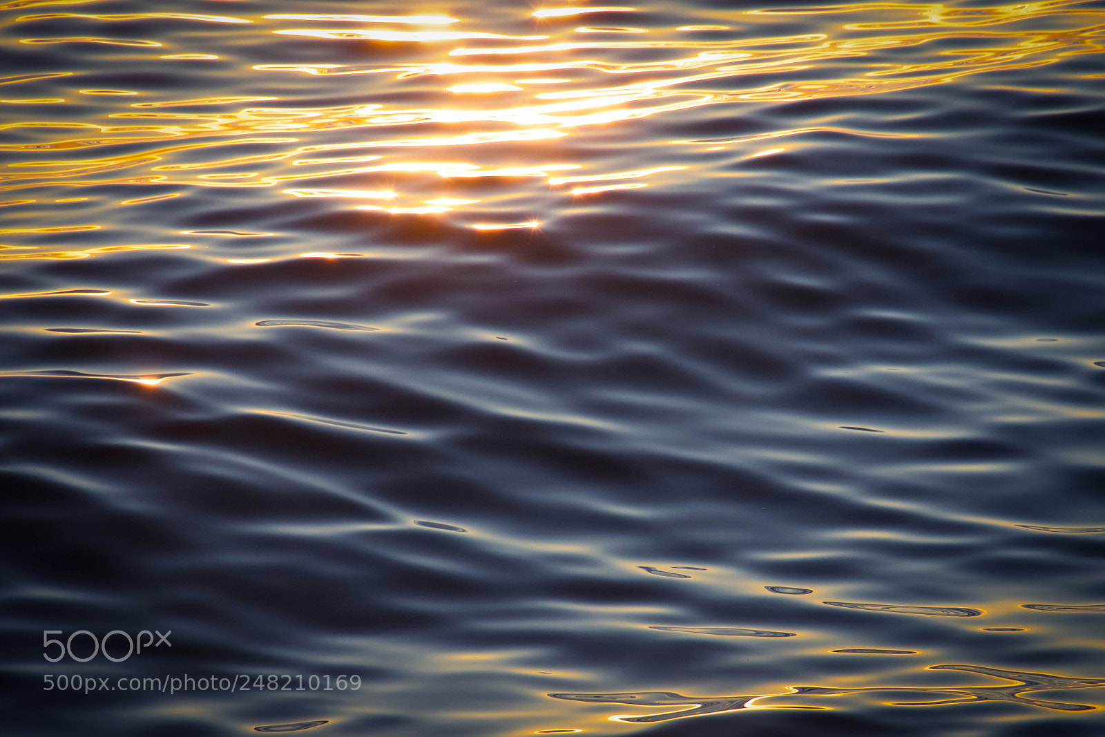 Canon EOS 60D sample photo. Reflections of dusk photography