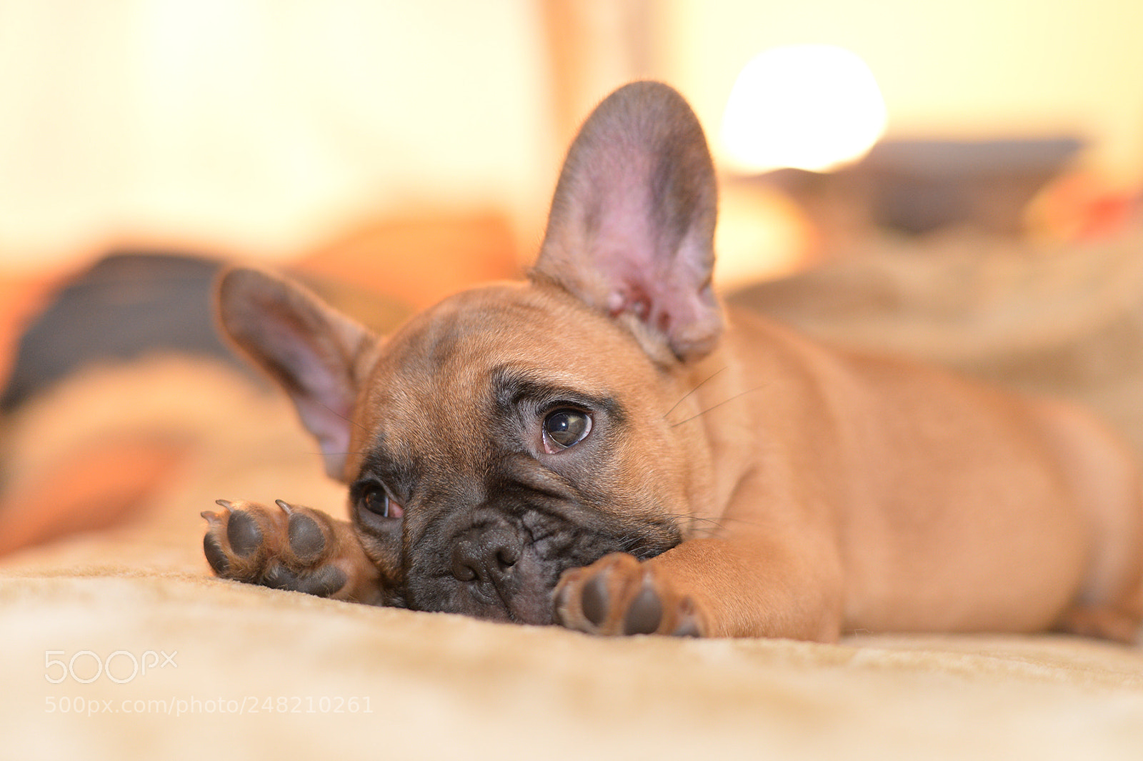 Nikon Df sample photo. Goodbye sunday photography