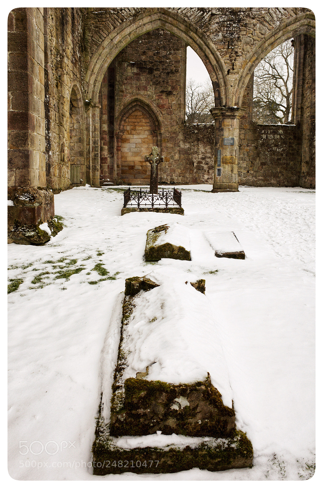 Ricoh GR II sample photo. The churchyard in the photography