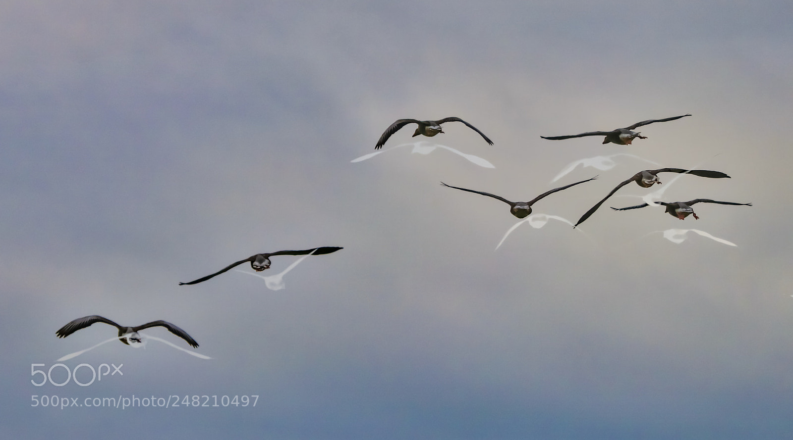 Canon EOS 80D sample photo. Der weg der wildg photography