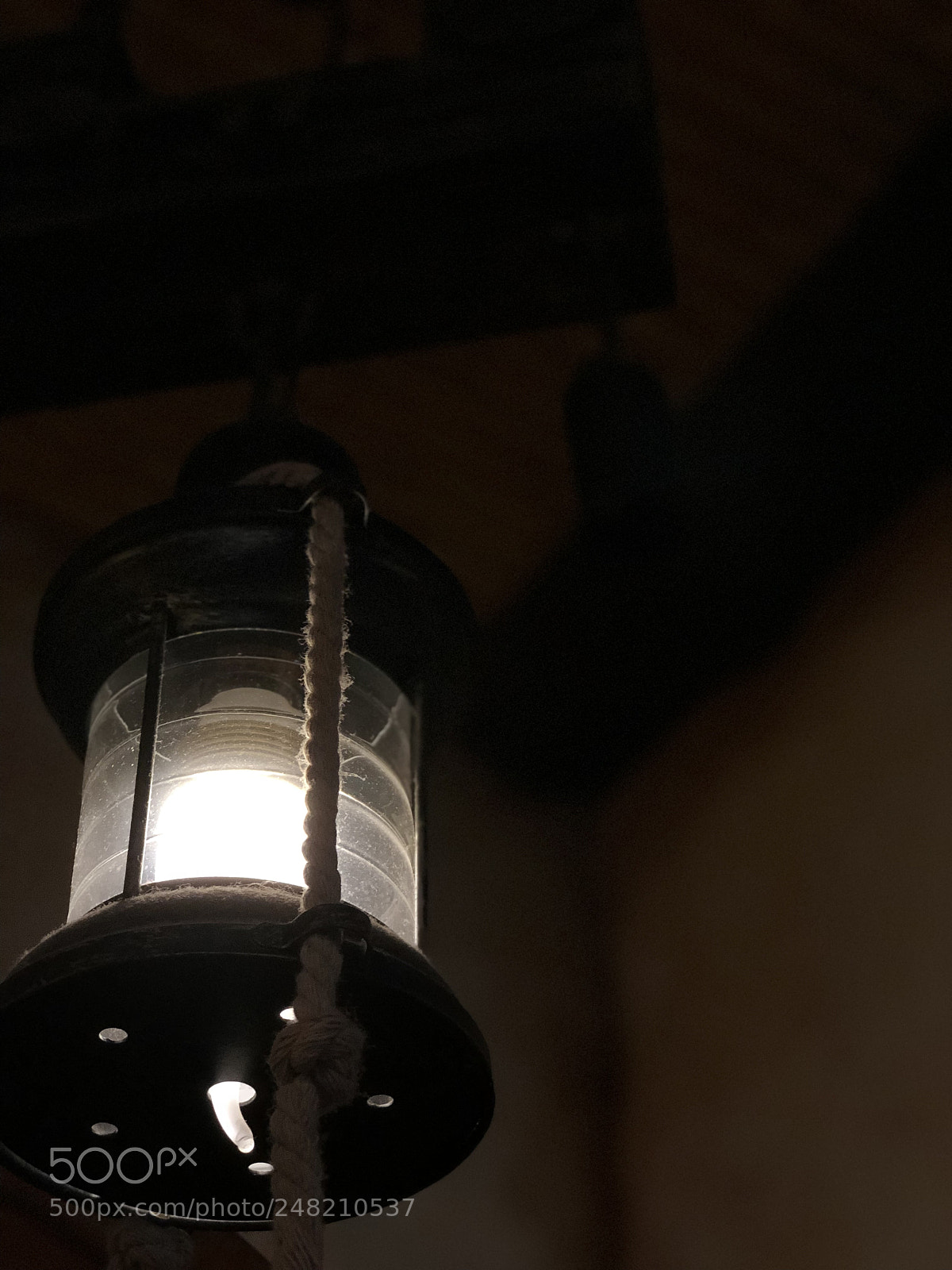 Apple iPhone 8 Plus sample photo. Untitled photography