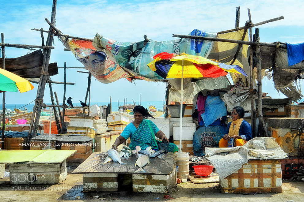 Nikon D3200 sample photo. Selling fish.. photography