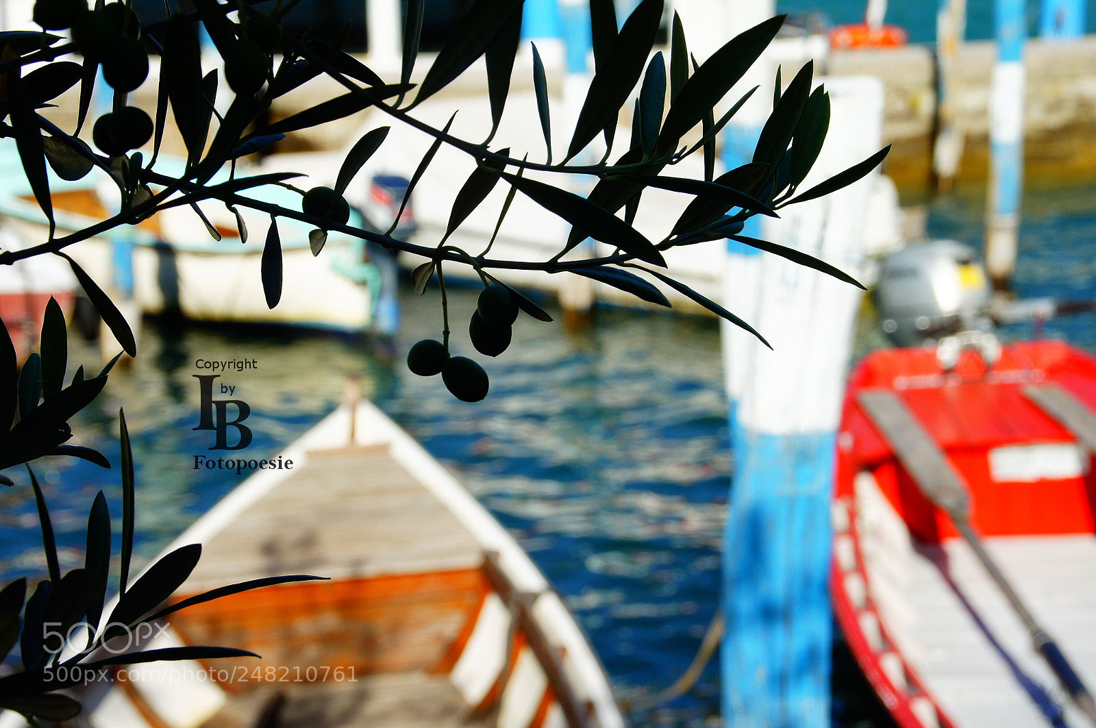 Sony Alpha DSLR-A450 sample photo. Italien harbour flair photography
