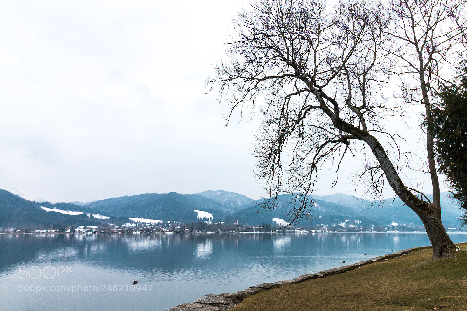 Canon EOS 70D sample photo. Tegernsee noleaf photography