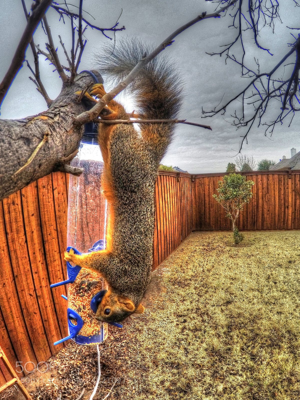 GoPro HERO4 Silver sample photo. Thief photography