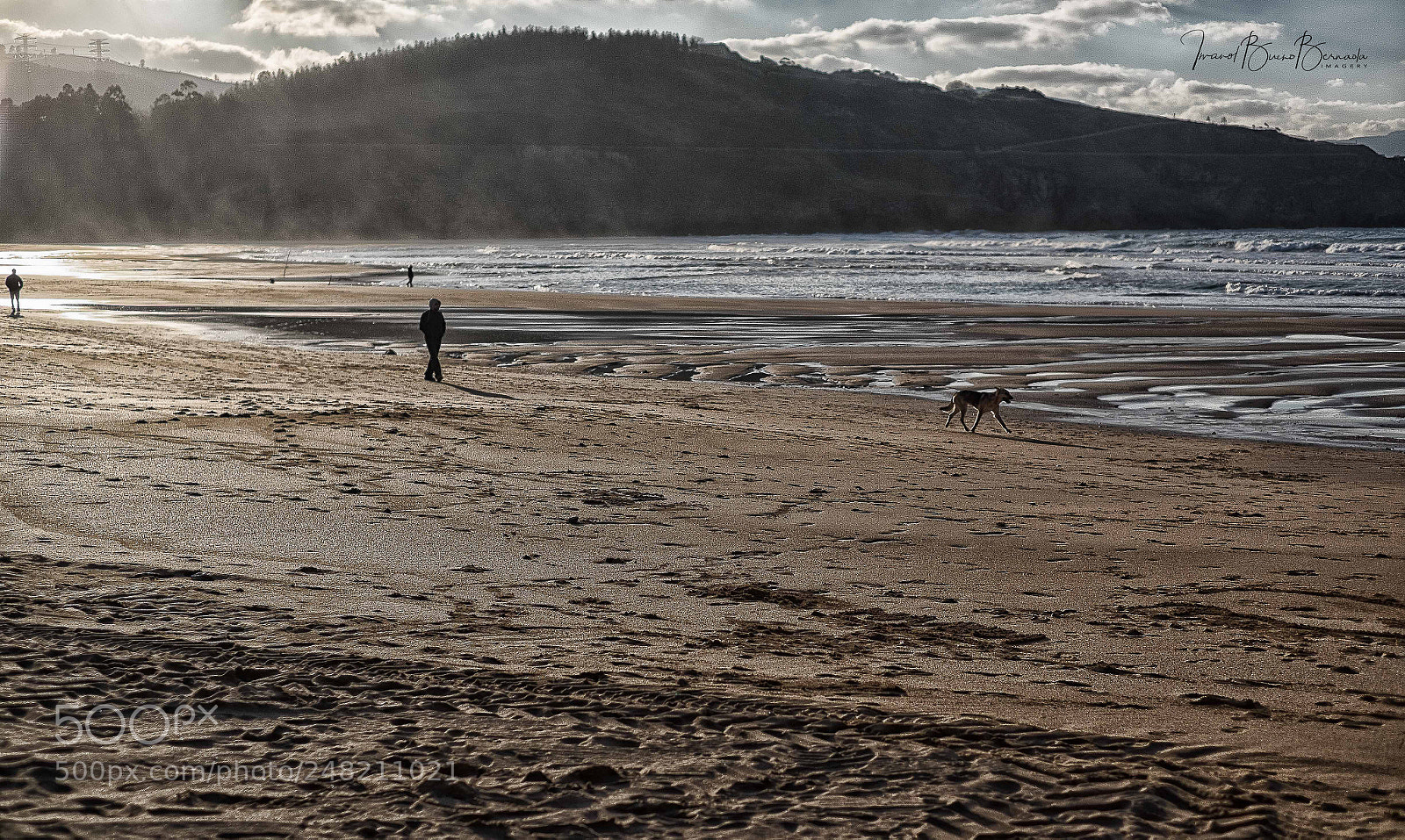 Fujifilm X-T1 sample photo. Low tide. winter walk photography