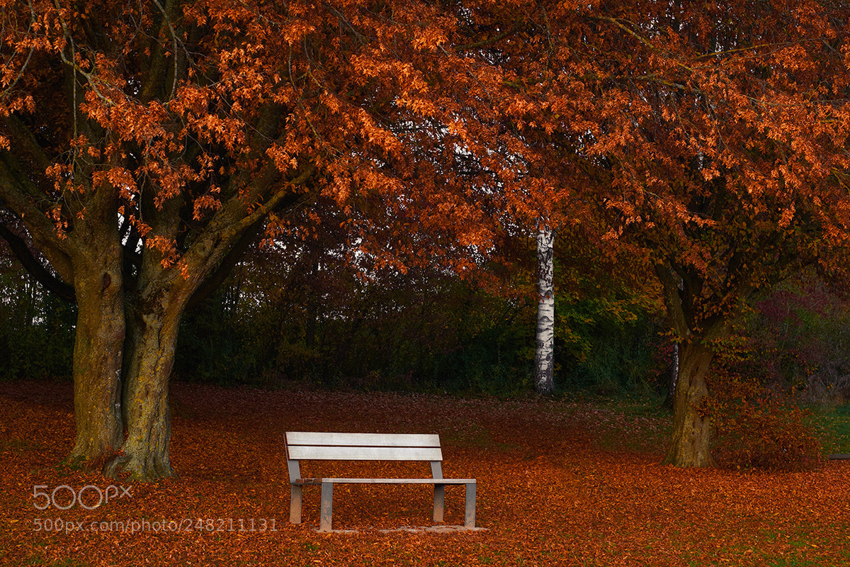 Fujifilm X-T1 sample photo. Also a deutsche bank photography