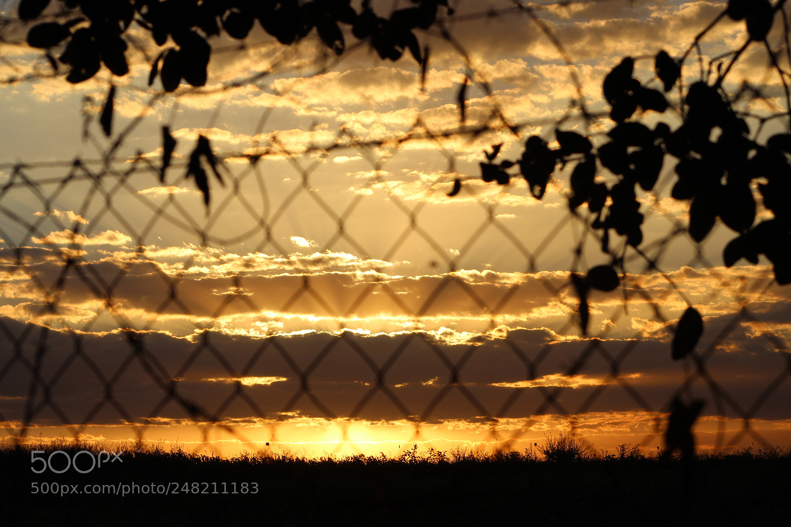Canon EF 75-300mm f/4-5.6 sample photo. Sunset in esalq photography