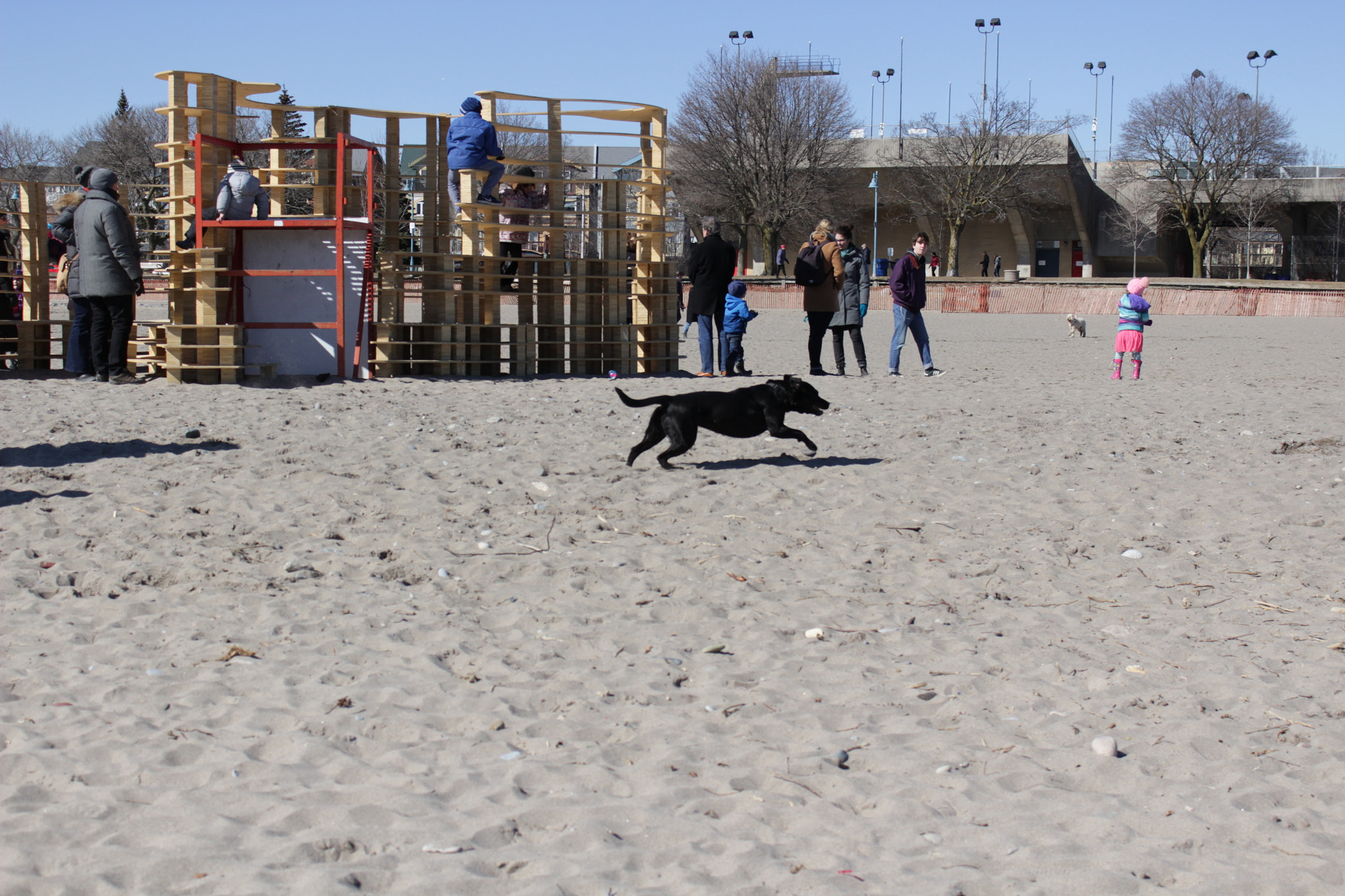 Canon EOS 100D (EOS Rebel SL1 / EOS Kiss X7) sample photo. Fetch photography