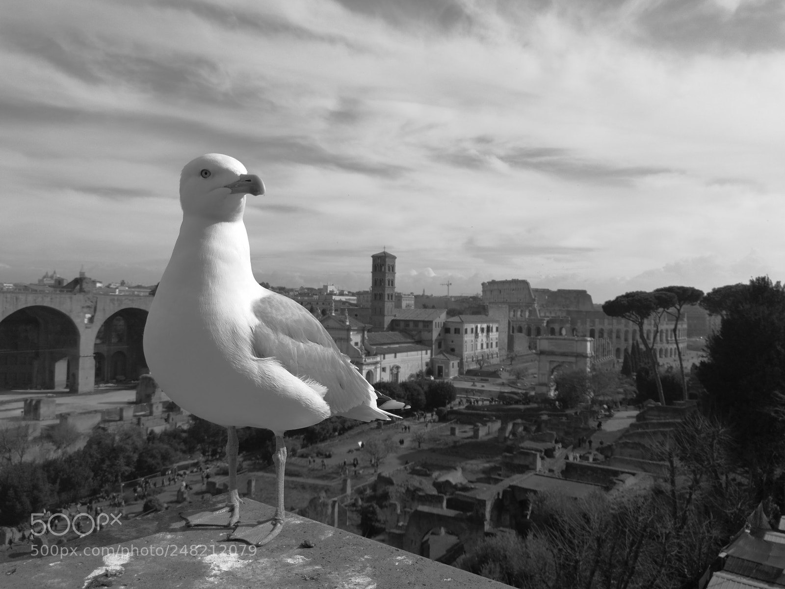 HUAWEI P10 Plus sample photo. Rome photography