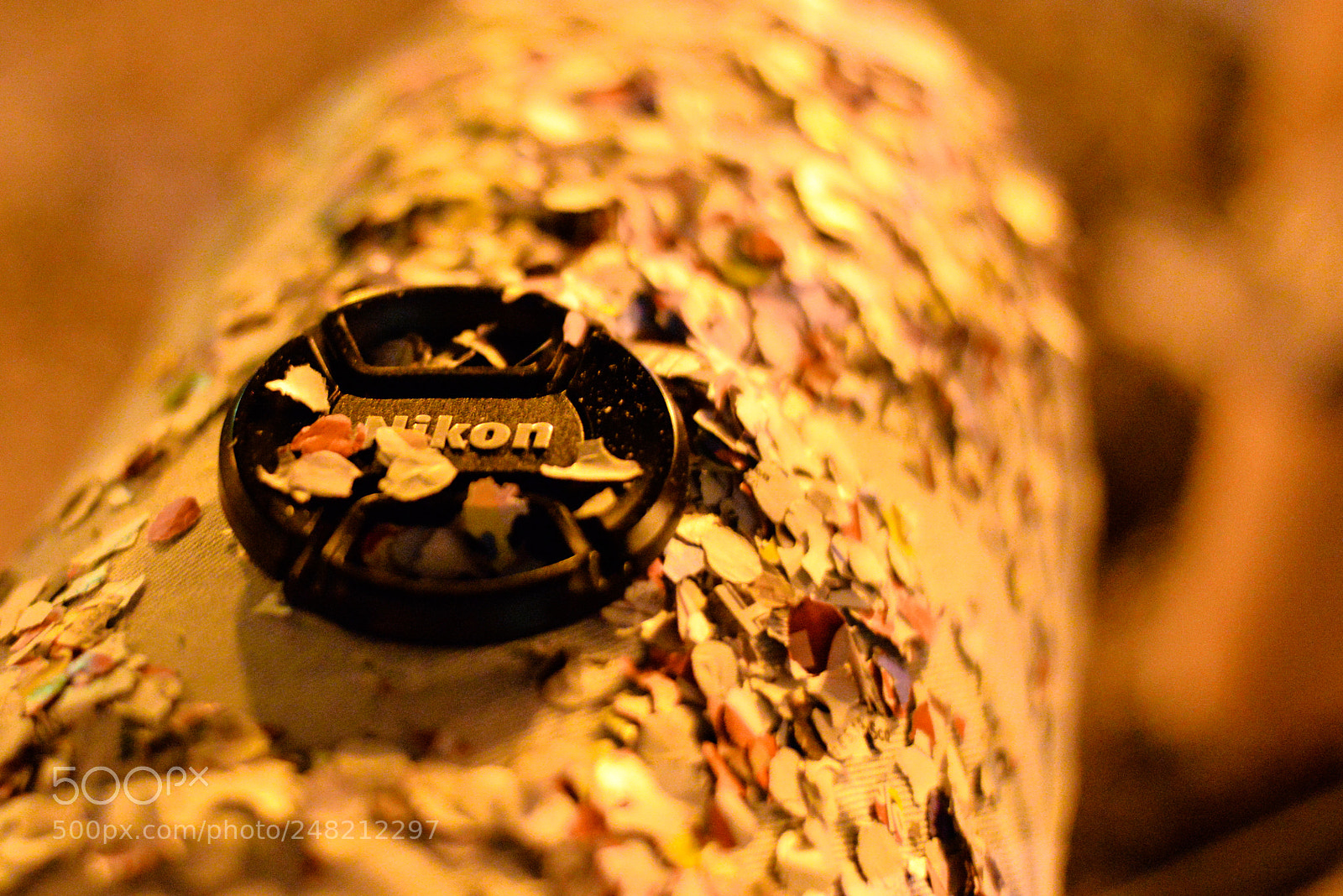 Nikon D610 sample photo. Nikon carnival photography