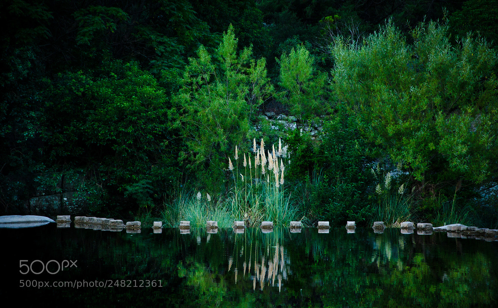 Nikon D5100 sample photo. Calm photography