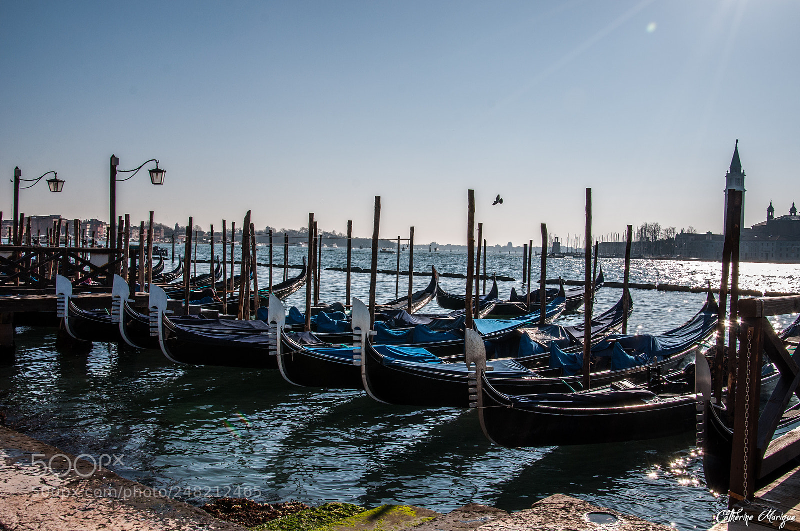 Nikon D5000 sample photo. Laisse les gondoles.... photography