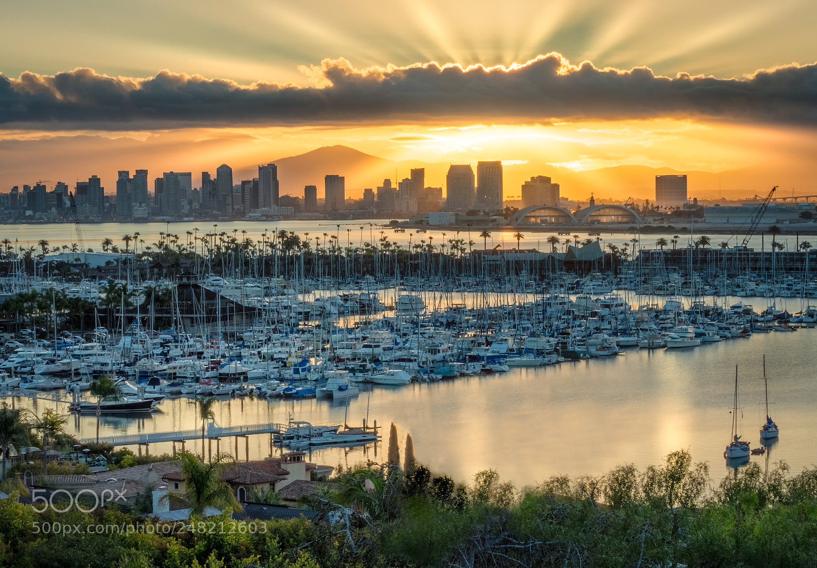 Olympus OM-D E-M1 Mark II sample photo. San diego sunrise 1 photography