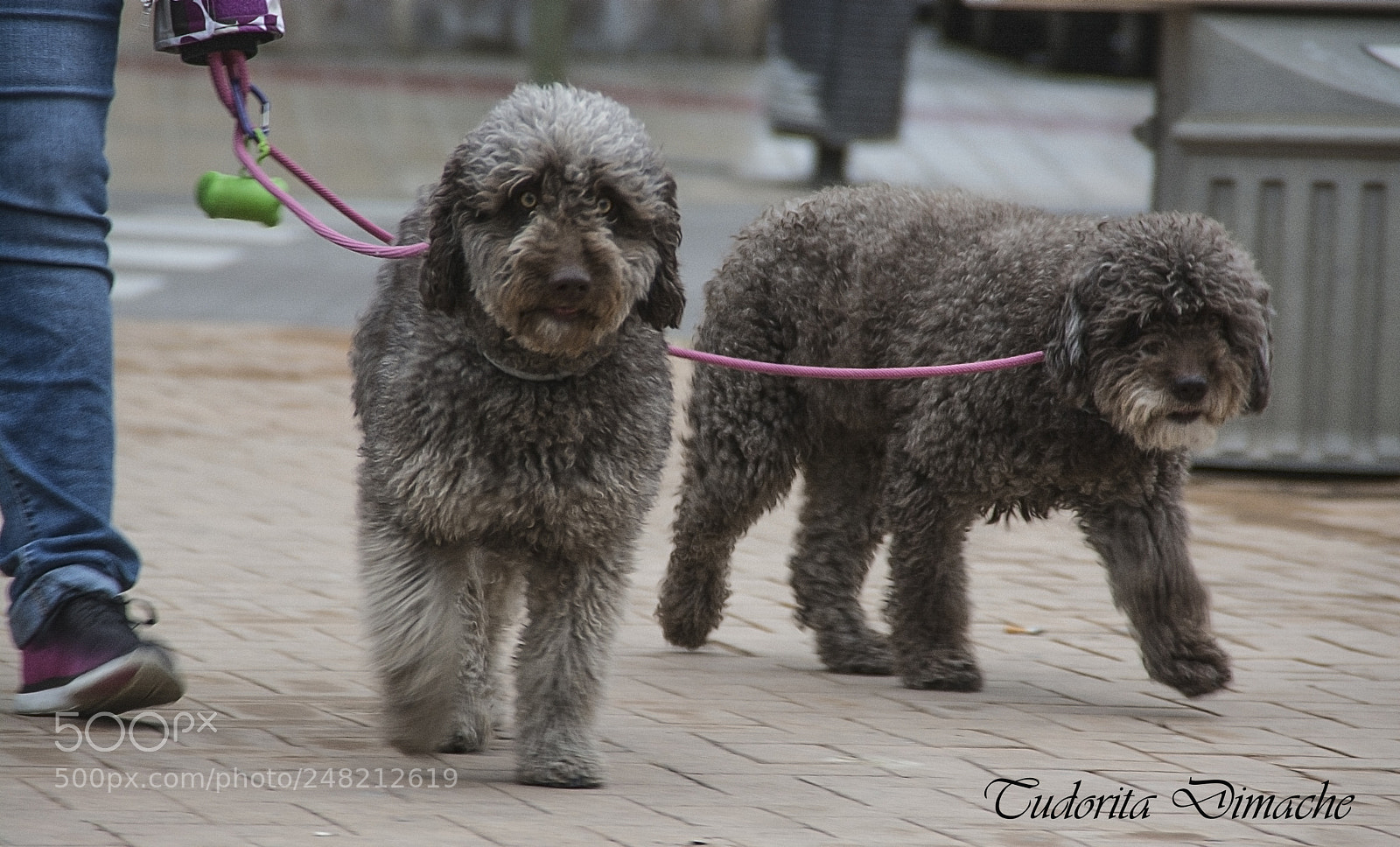 Nikon D7100 sample photo. Friendship photography