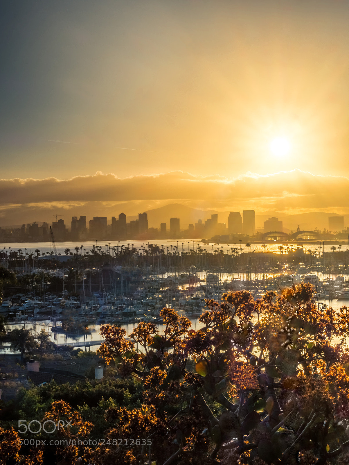 Olympus OM-D E-M1 Mark II sample photo. San diego sunrise 2 photography