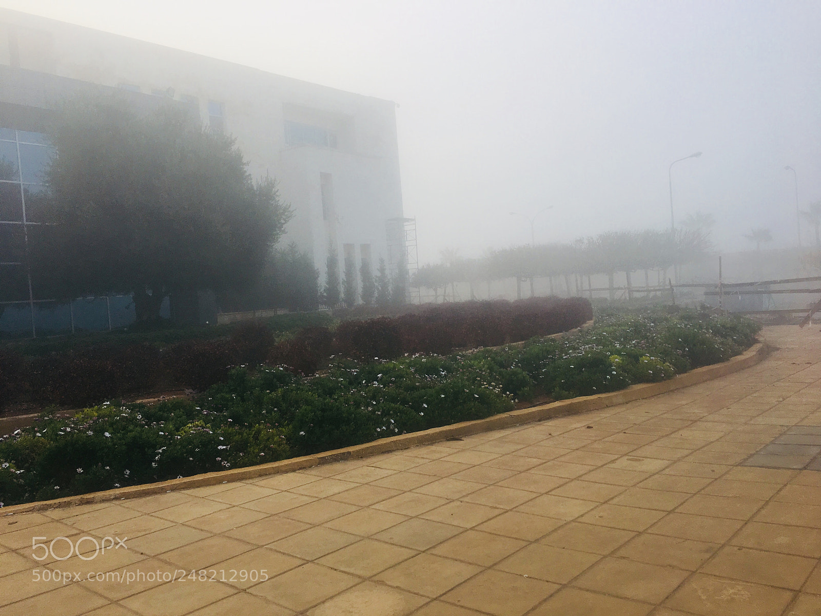 Apple iPhone 6s Plus sample photo. Untitled photography