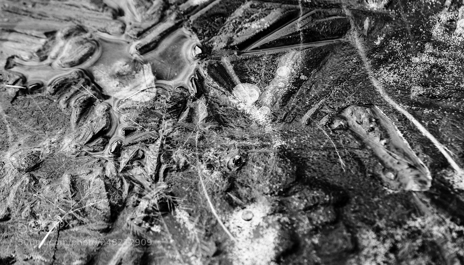 Nikon D5300 sample photo. Natur-kunst photography
