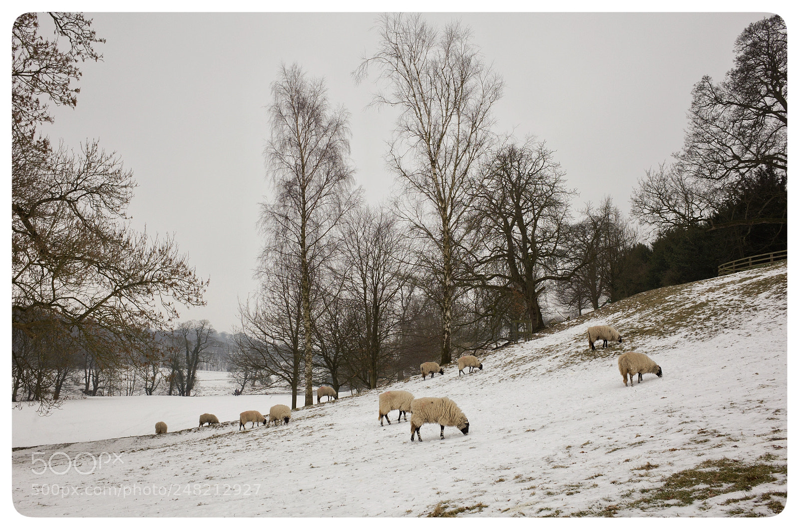 Ricoh GR II sample photo. Wharfedale in winter photography