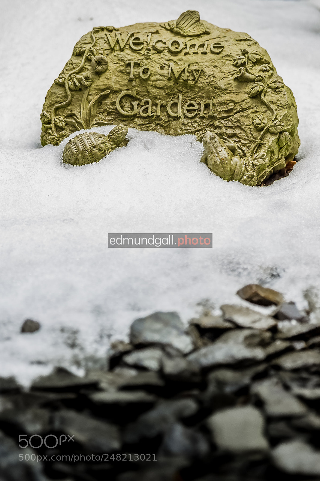 Canon EOS 500D (EOS Rebel T1i / EOS Kiss X3) sample photo. Welcome to my garden photography