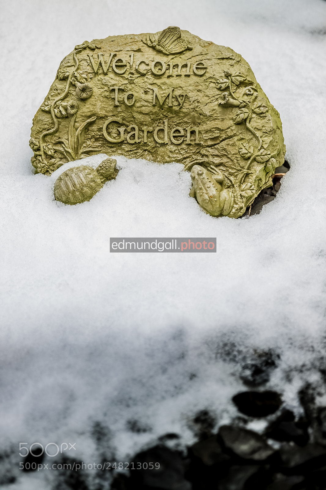 Canon EOS 500D (EOS Rebel T1i / EOS Kiss X3) sample photo. Welcome to my garden photography