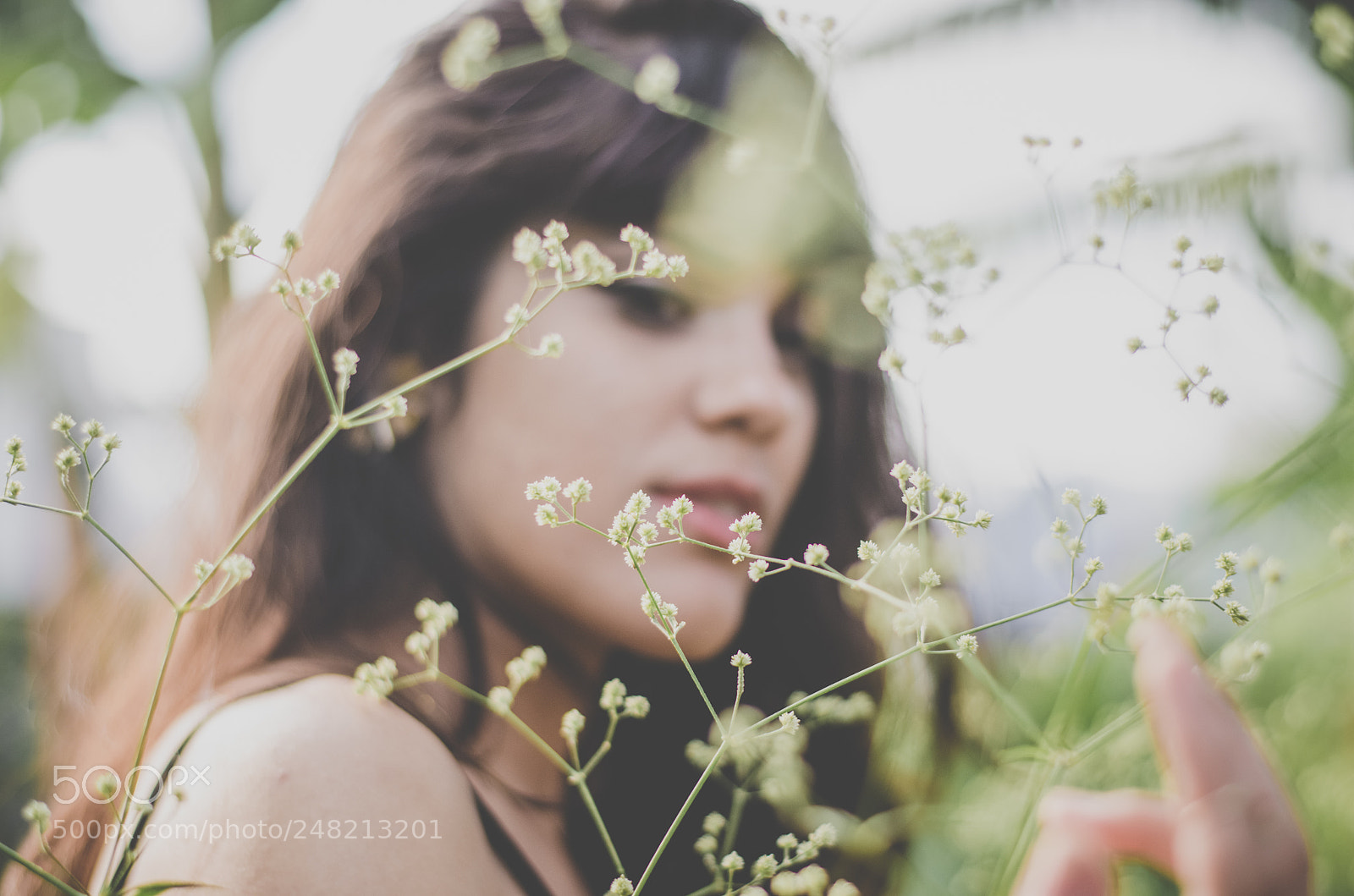 Nikon D5100 sample photo. Little flowers photography
