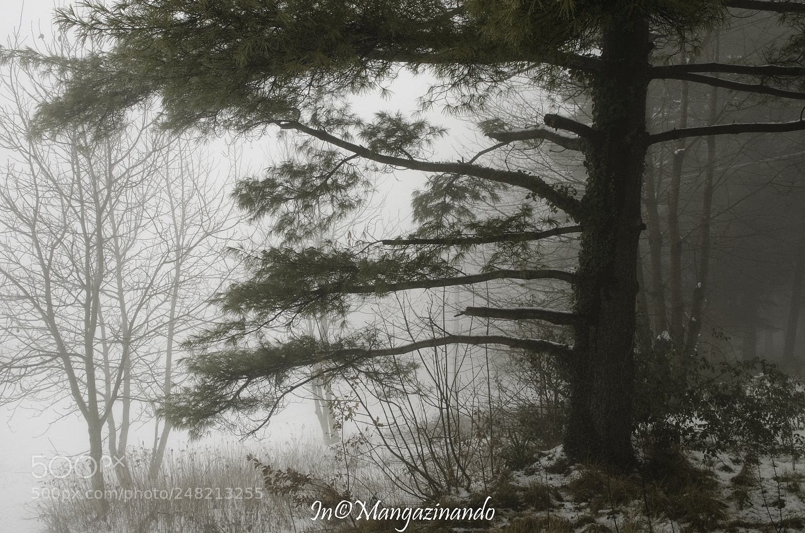 Nikon D5100 sample photo. Atmosfera photography