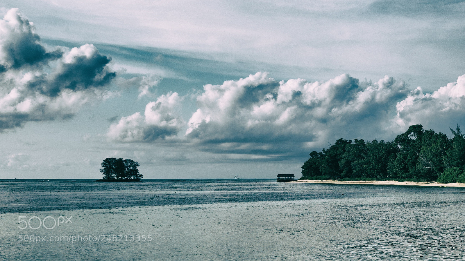 Canon EOS-1D X Mark II sample photo. Loneliness ii photography