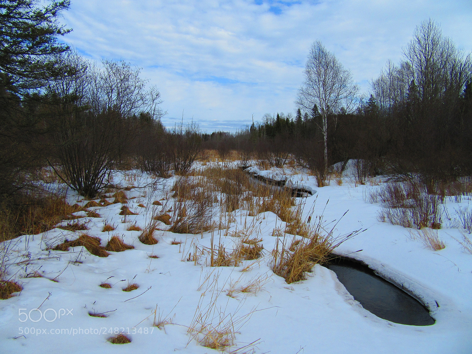 Canon PowerShot SX610 HS sample photo. Winter stream photography