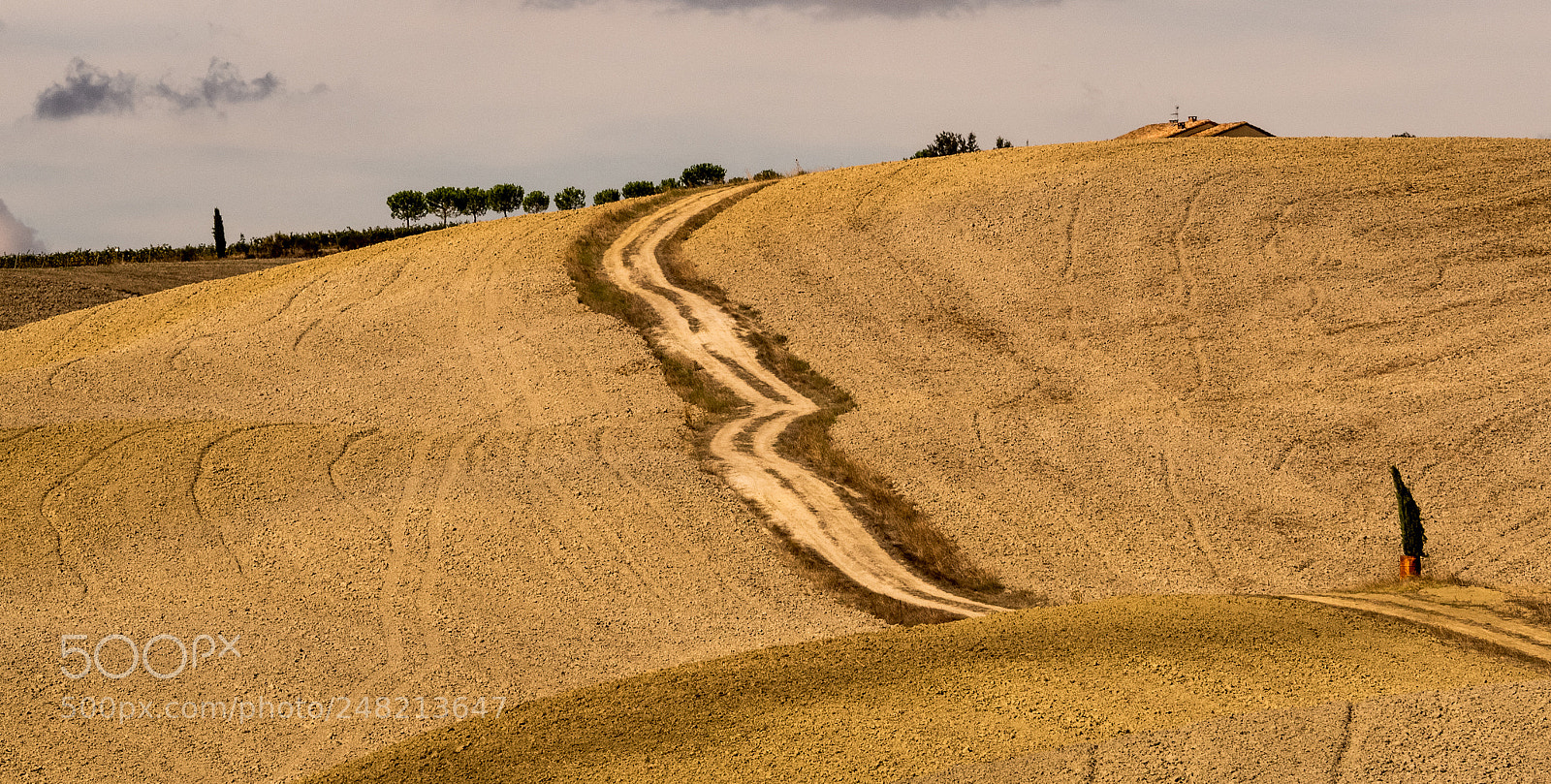 Olympus OM-D E-M10 sample photo. Toscana  again and again  ! photography