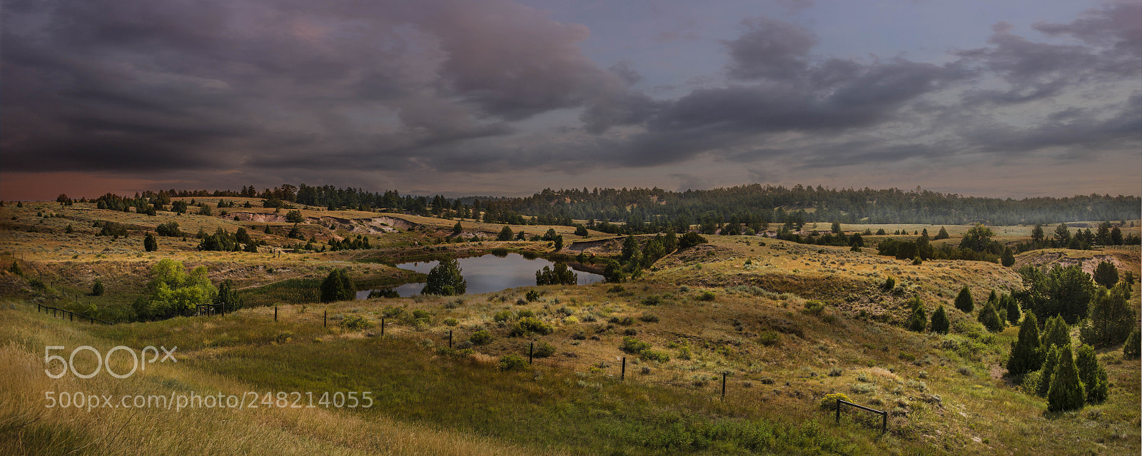 Nikon D600 sample photo. Wide-open countryside photography