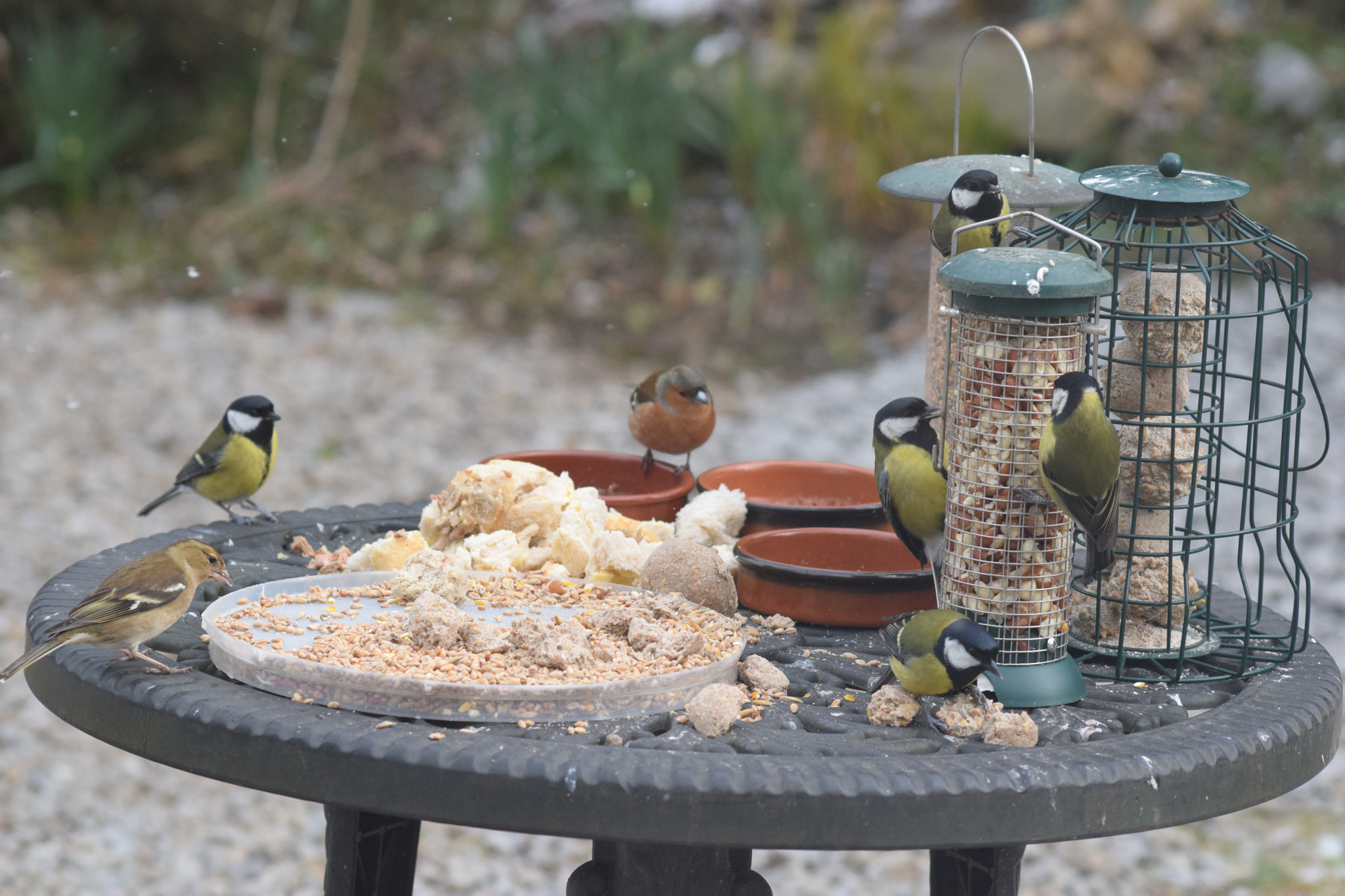 Sigma 70-300mm F4-5.6 APO DG Macro sample photo. At the table photography