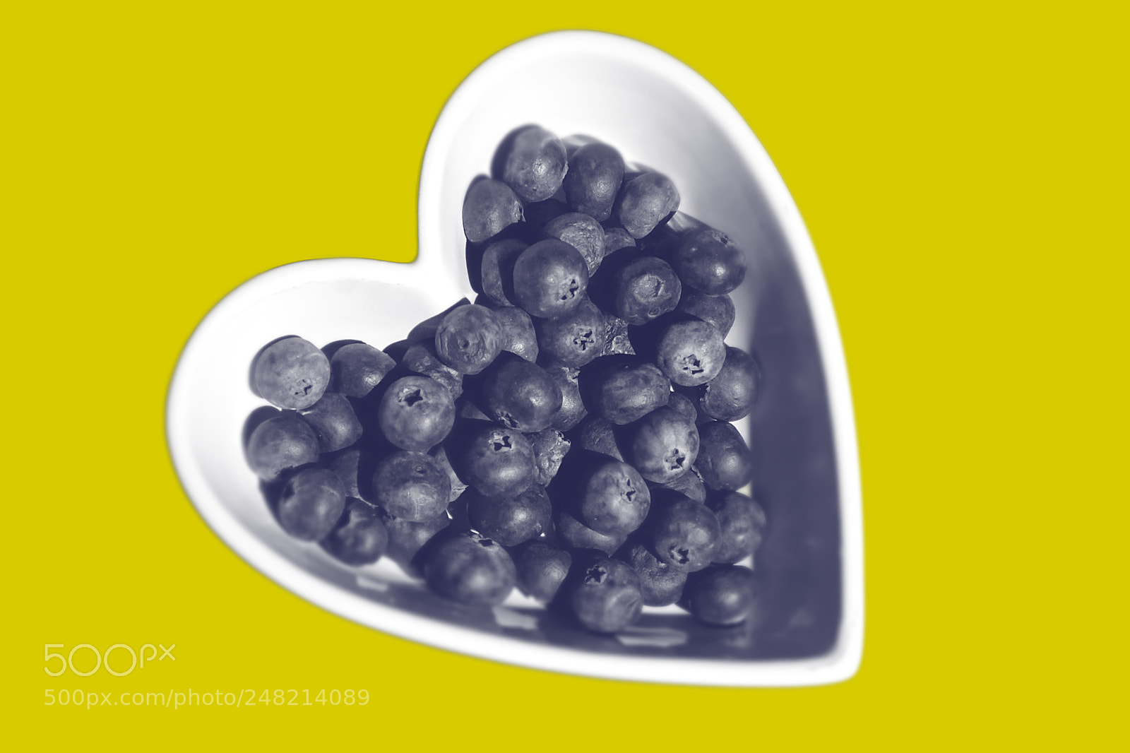 Nikon D7200 sample photo. Blueberries in heart shaped photography