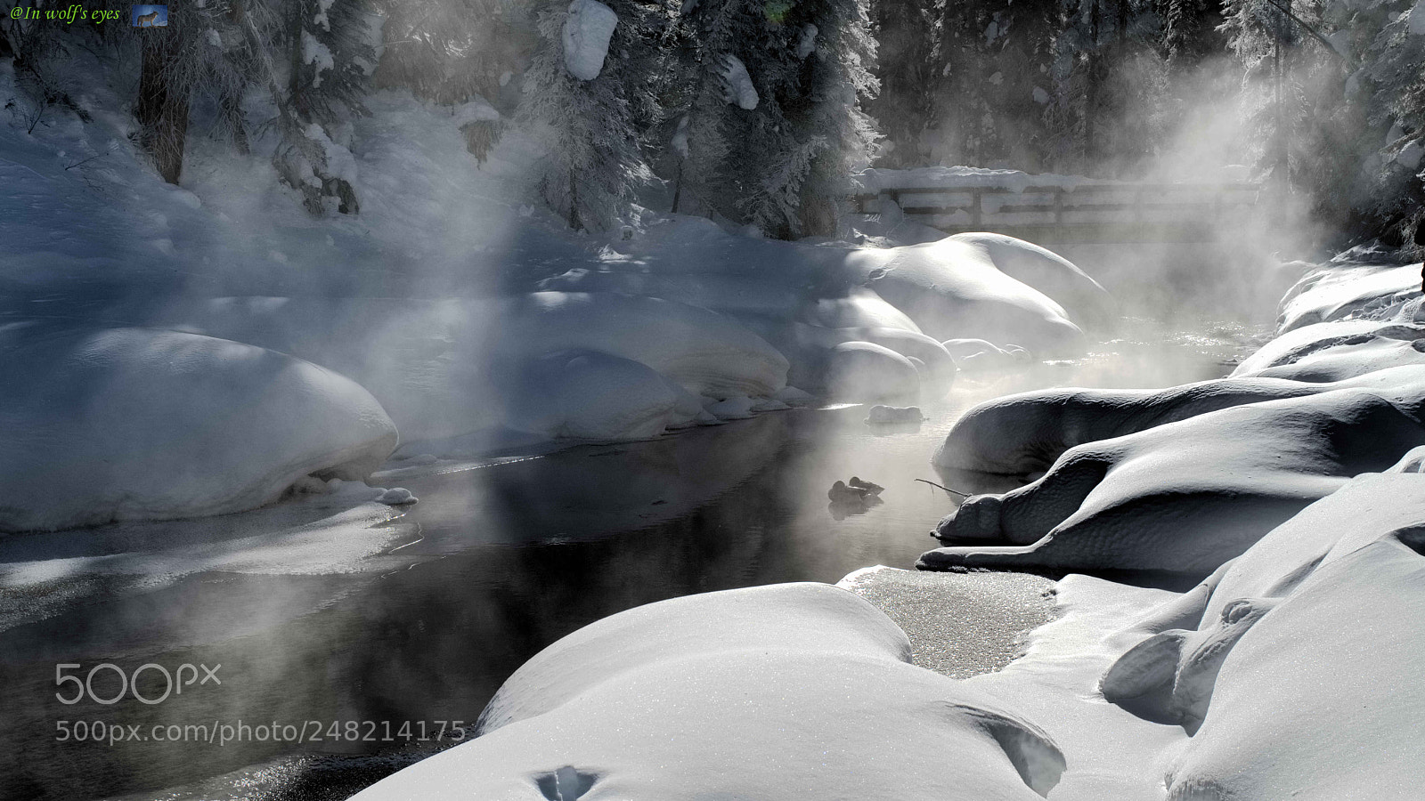 Nikon D500 sample photo. Misty, canada photography