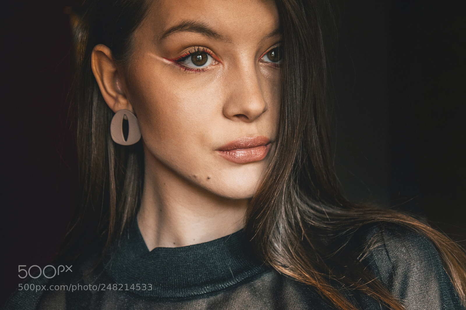 Nikon D5300 sample photo. Power in black photography