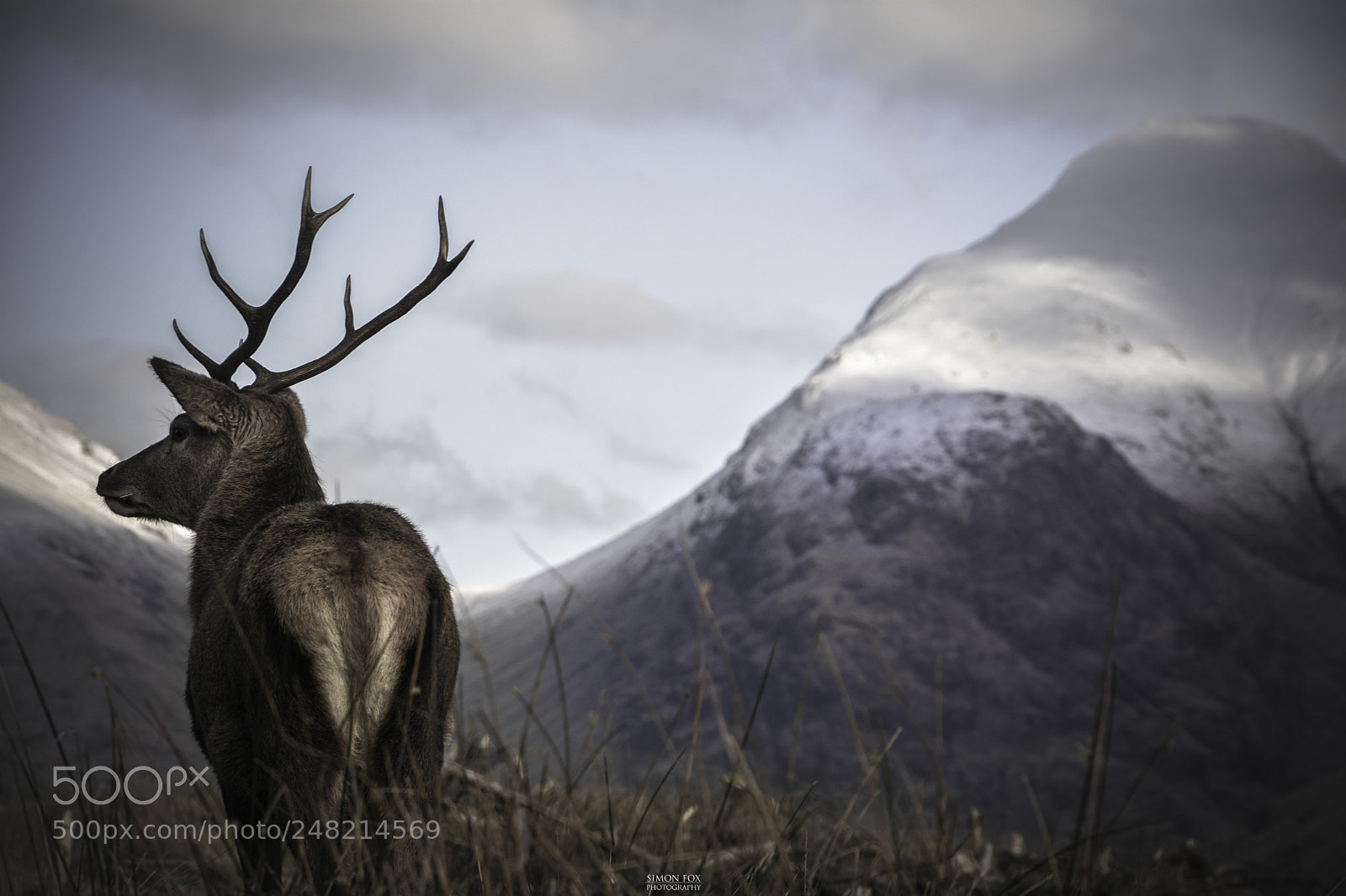 Nikon D7100 sample photo. Monarch of glencoe photography