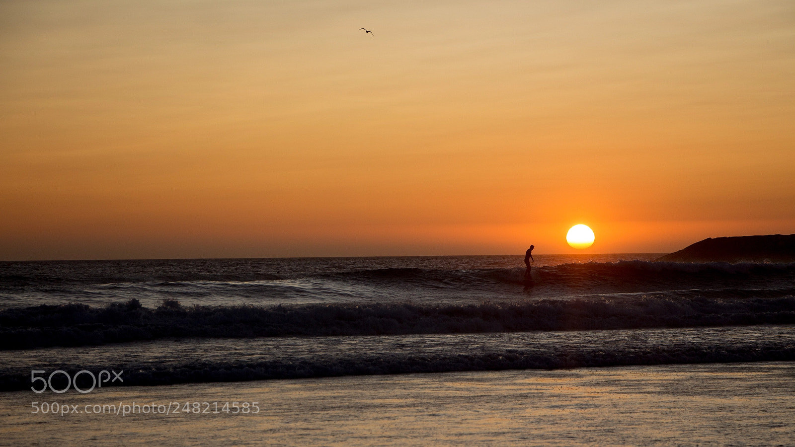 Canon EOS 650D (EOS Rebel T4i / EOS Kiss X6i) sample photo. Surfing in the sunset photography