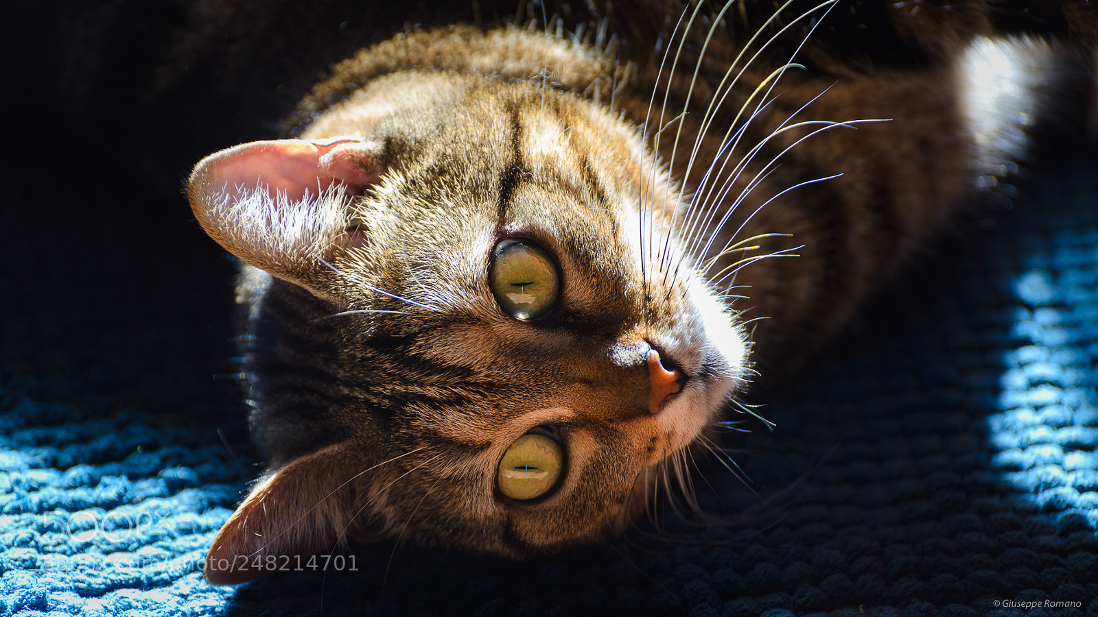 Nikon D600 sample photo. Maya photography