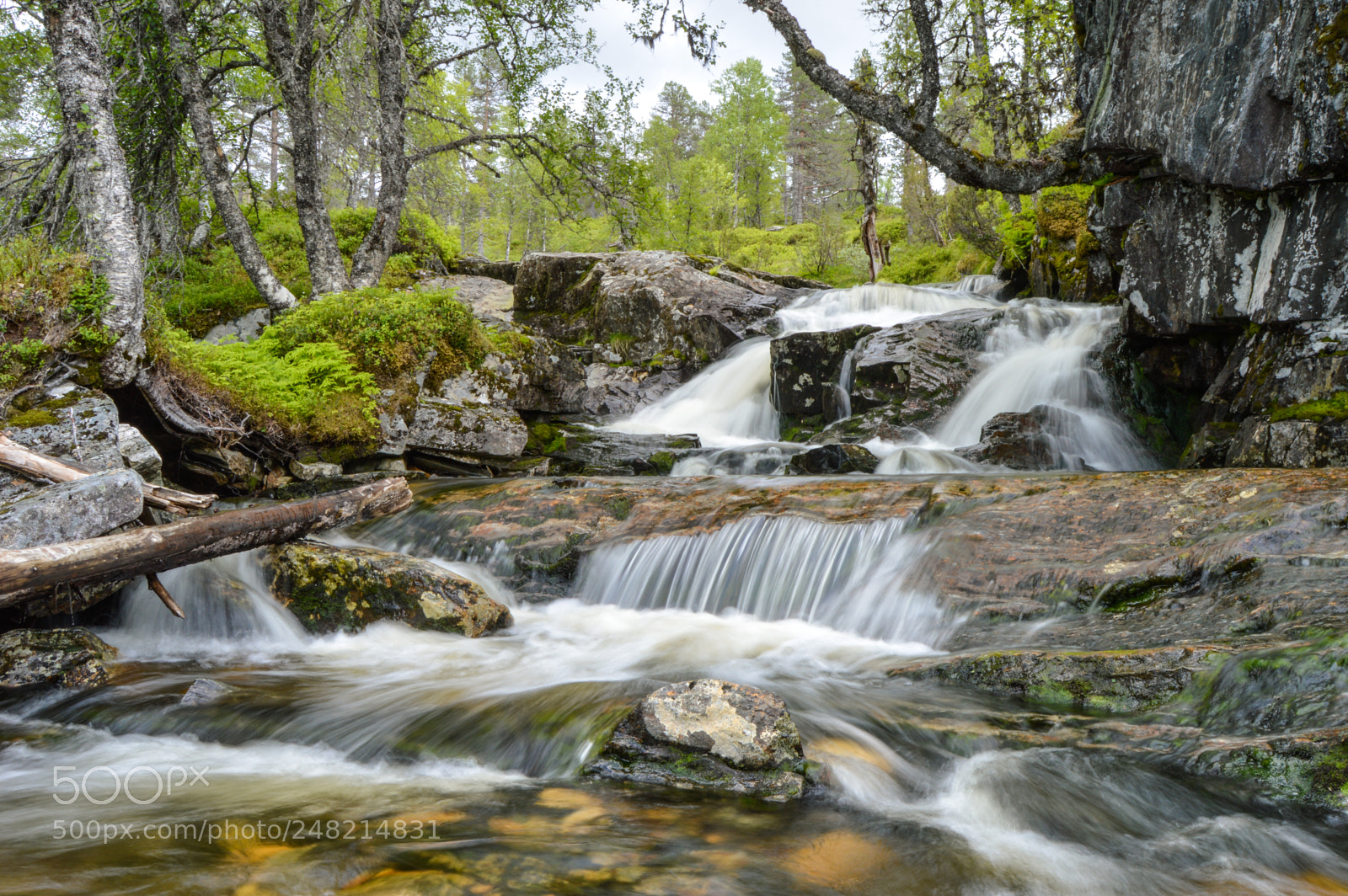 Nikon D3200 sample photo. Heavy summer flow photography