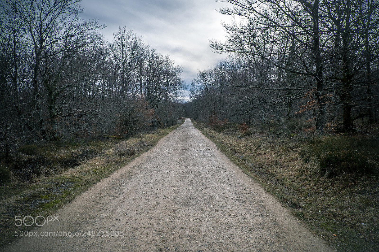 Fujifilm X-T1 sample photo. Fin del camino photography