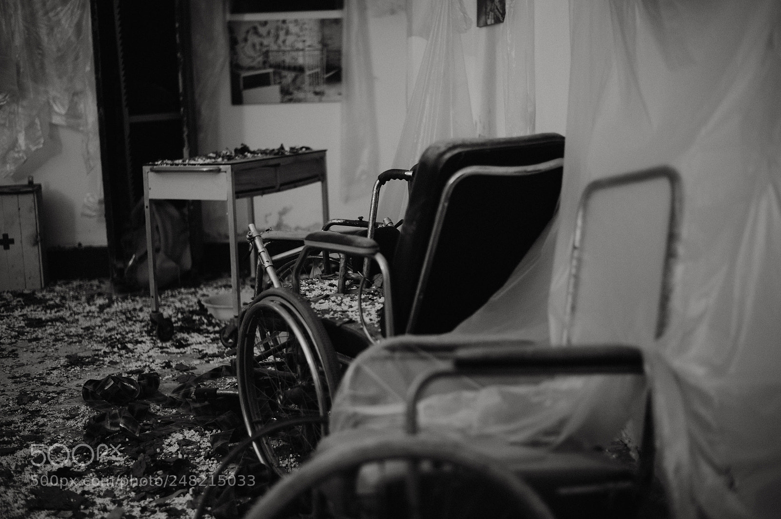 Nikon D700 sample photo. Cyr photography