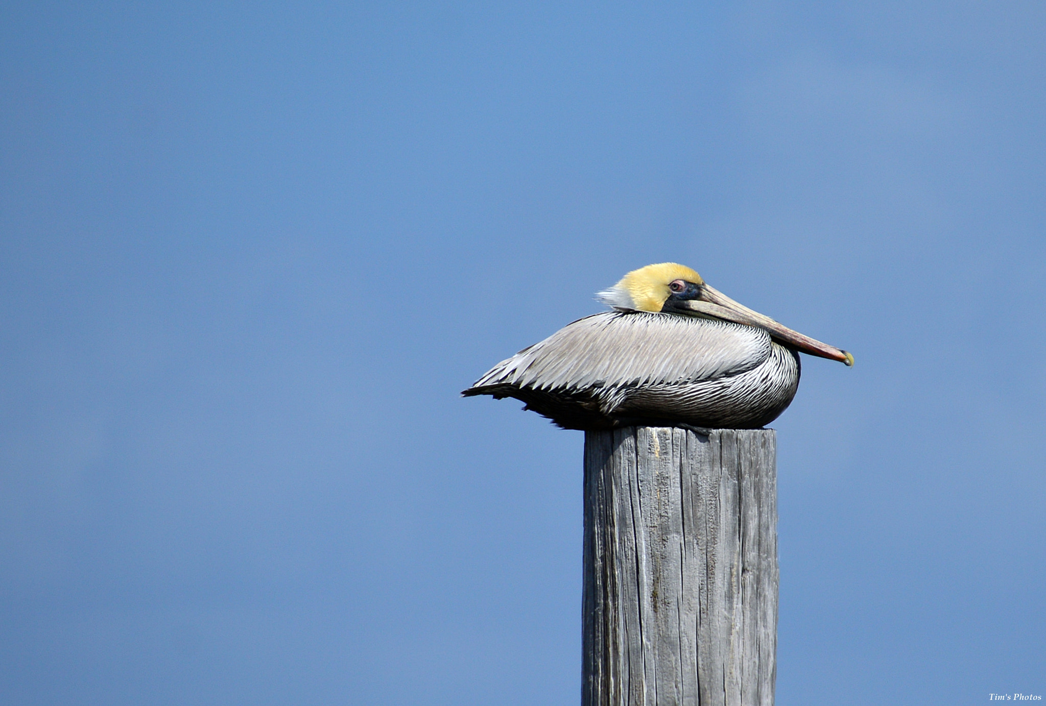 Nikon D3200 sample photo. It sits photography