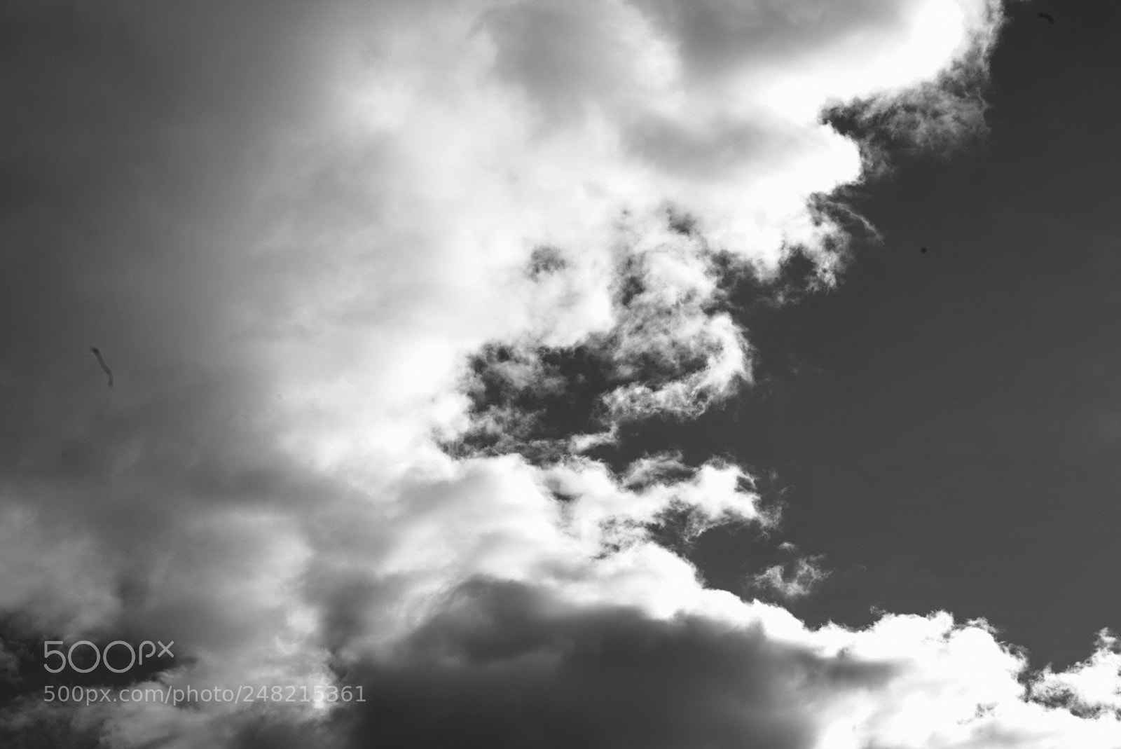 Sony a7R III sample photo. Untitled photography