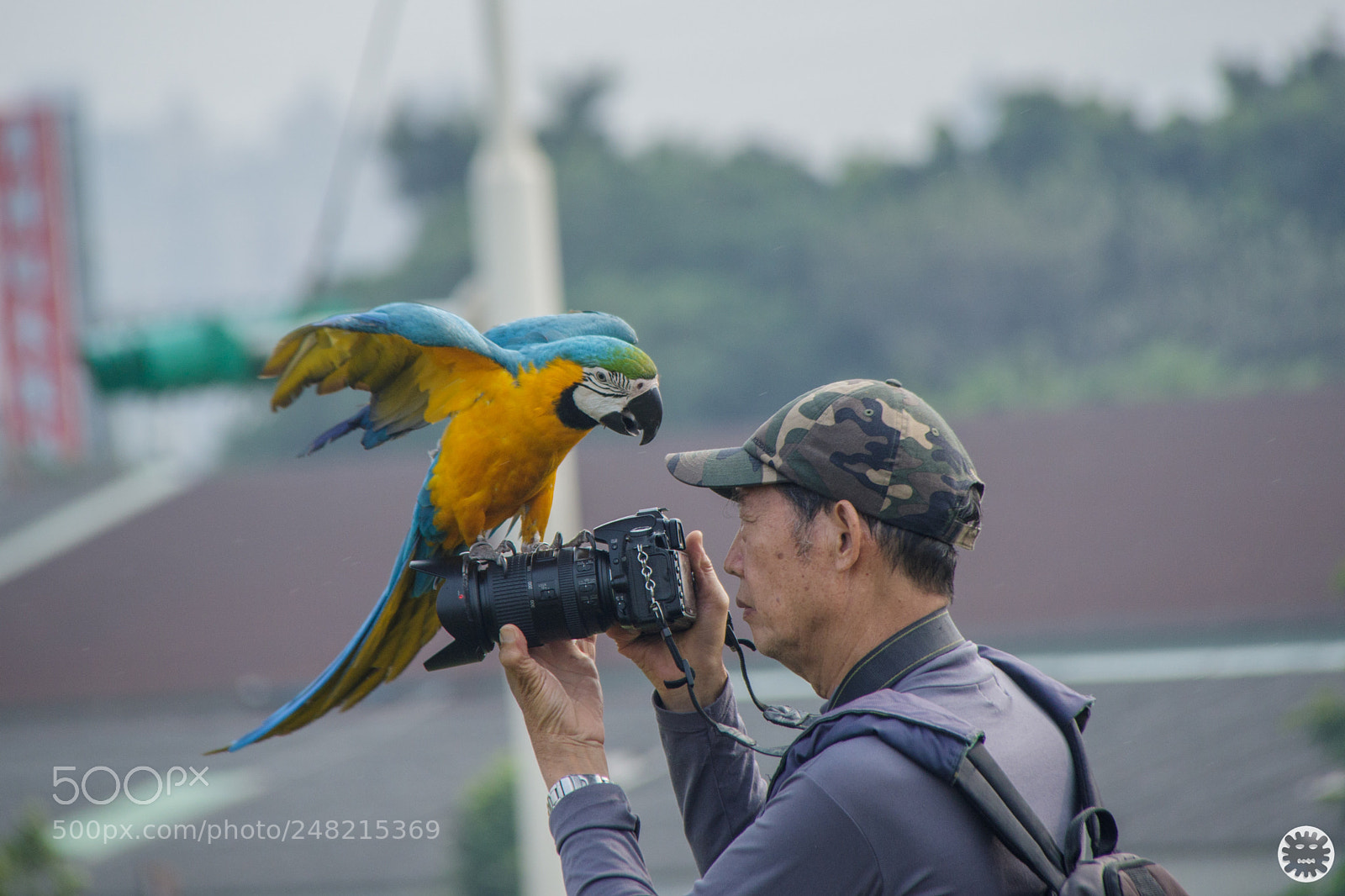 Canon EOS 7D Mark II sample photo. Untitled photography